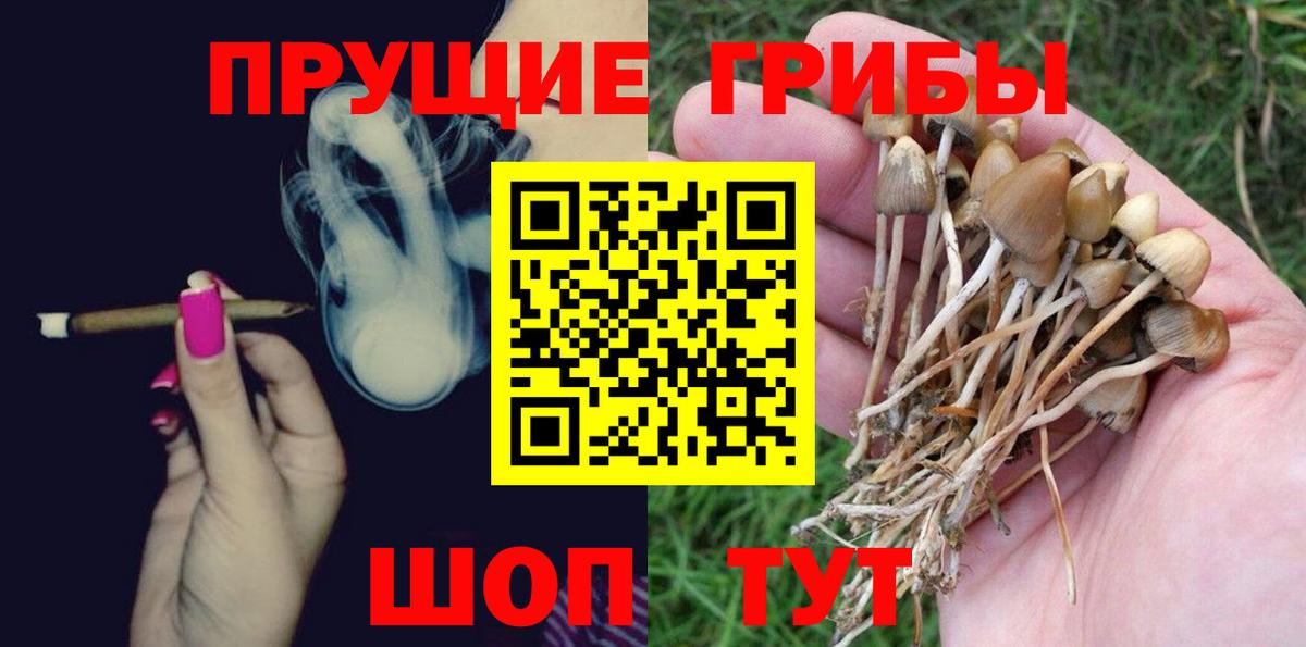 Галлюциногенные грибы MAGIC MUSHROOMS  Галлюциногенные грибы Psilocybe  Скопин  Вход с VPN 